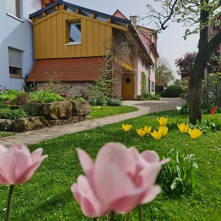 Ferienwohnung Wiesenhof نويهورف أن دير تْسين المظهر الخارجي الصورة